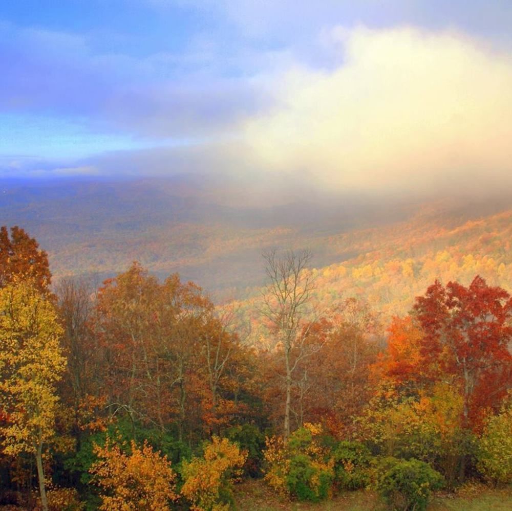 דוסונוויל Amicalola Falls State Park And Lodge מראה חיצוני תמונה